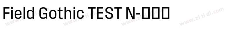 Field Gothic TEST N字体转换